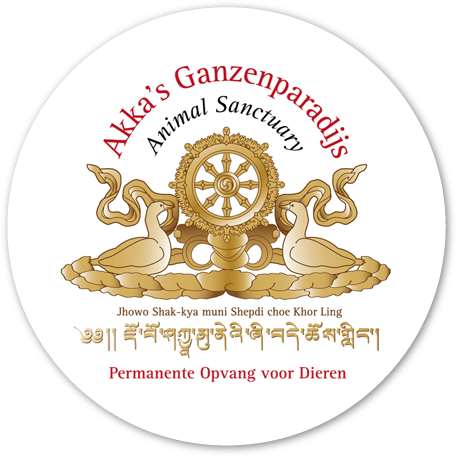 Akka's Ganzenparadijs