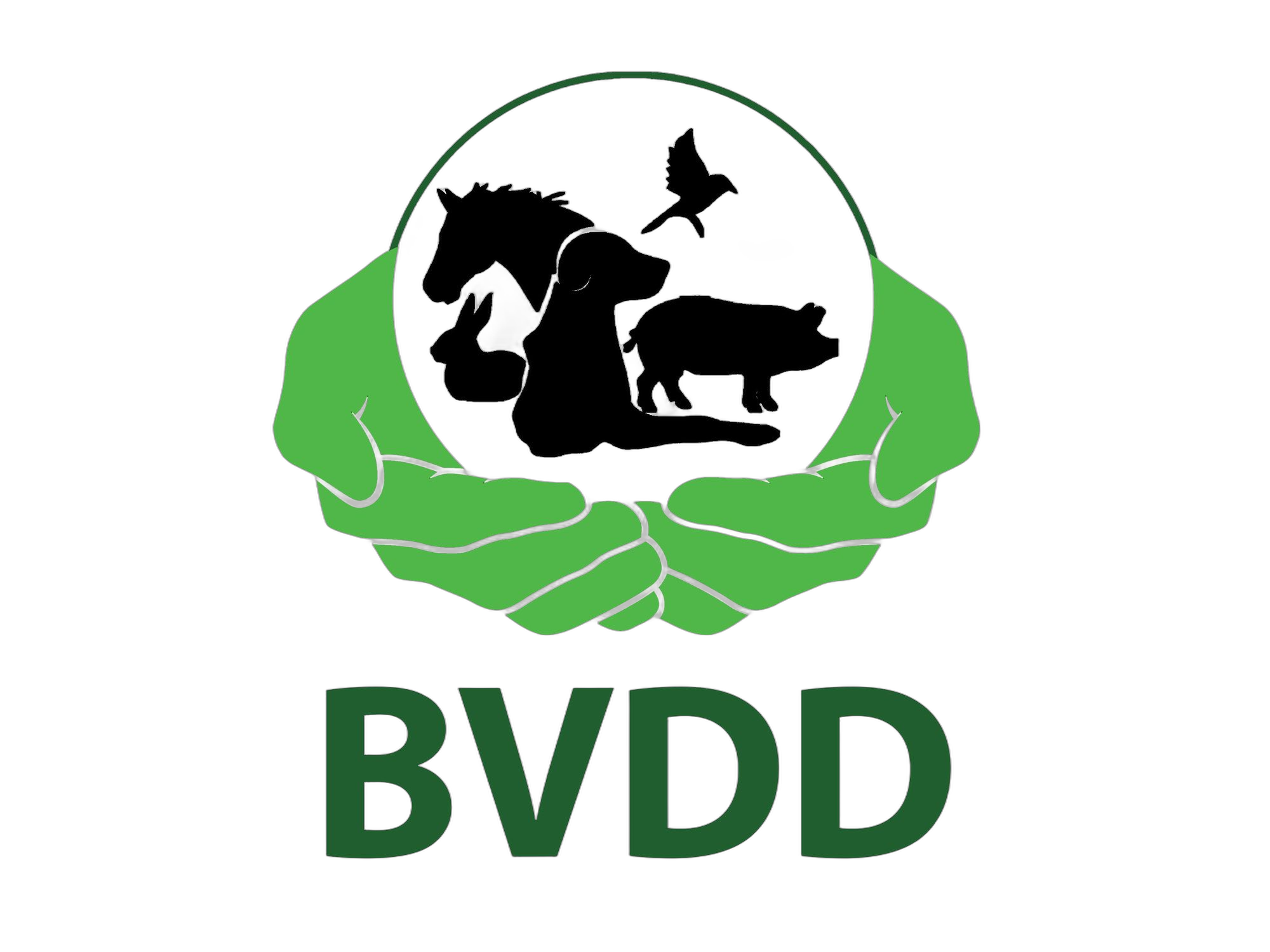 Blijdschap Voor De Dieren