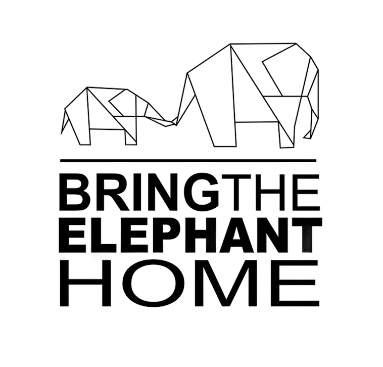 Bring the Elephant Home