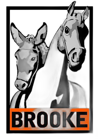 Brooke Hospital for Animals Nederland