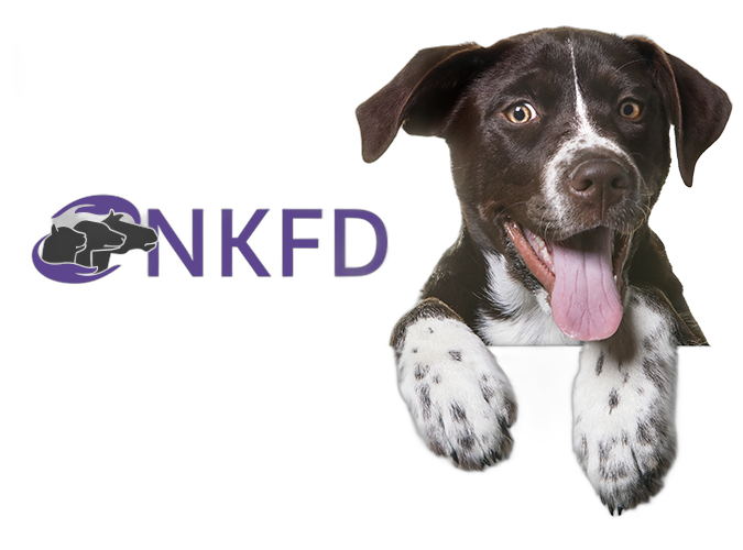Nederlands KankerFonds voor Dieren
