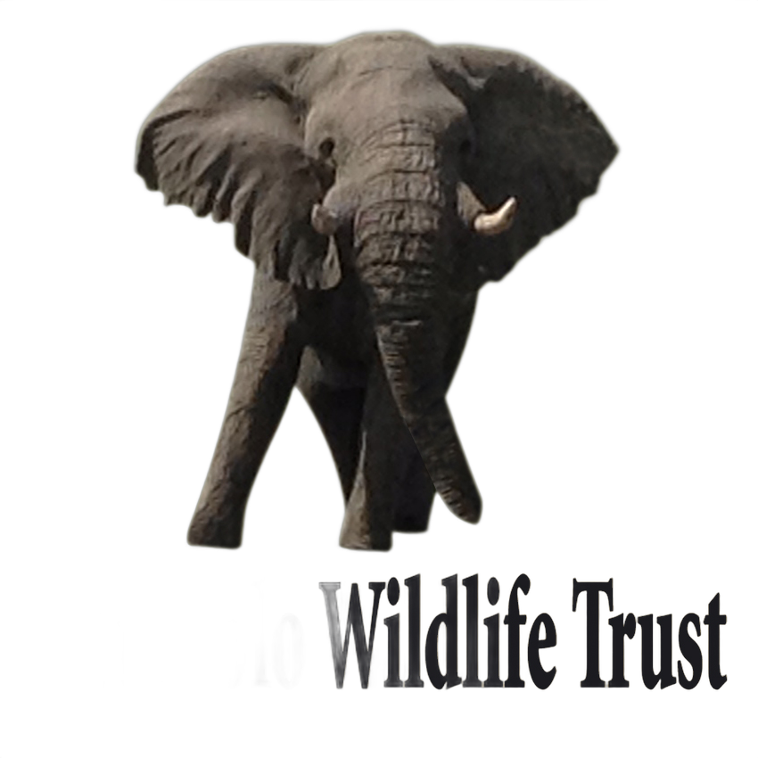 Omogolo Wildlife Trust