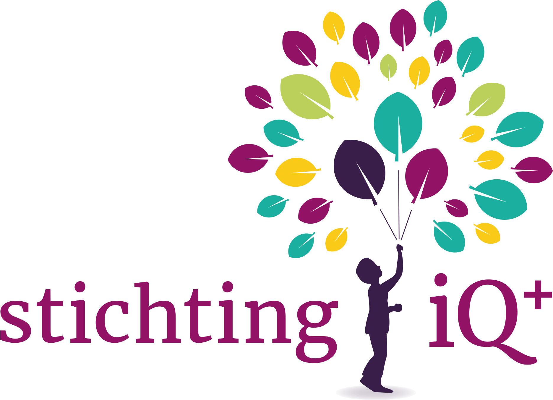 stichting iQ+