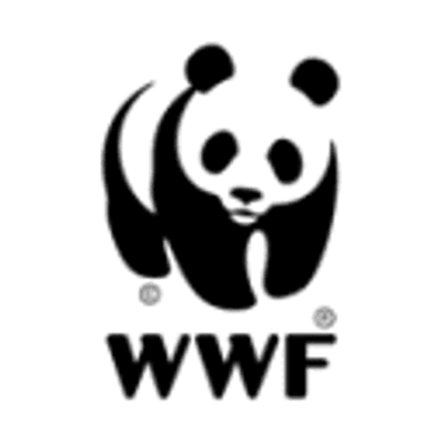 WNF